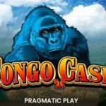 Congo Cash